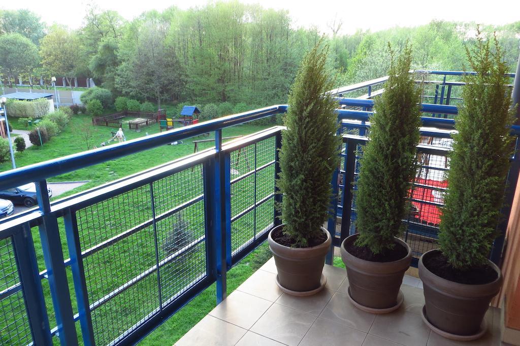 Nature Krakow Bilik gambar
